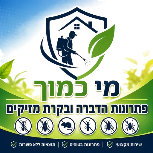 מי כמוך הדברות